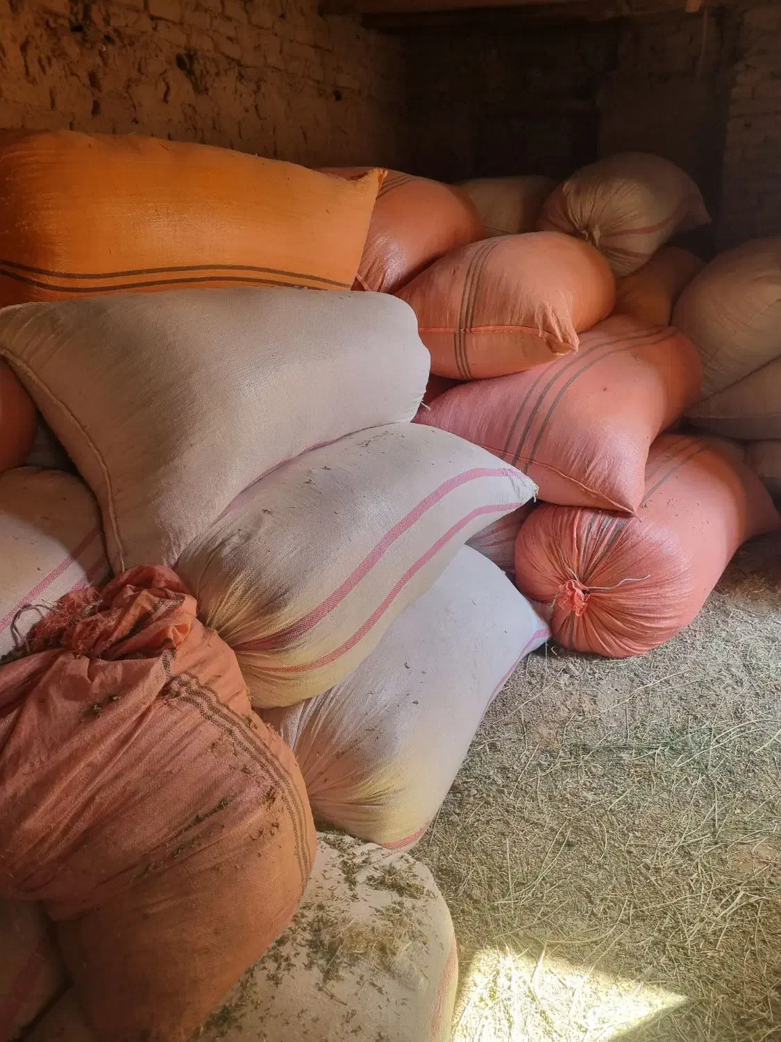 کاه کمباین کوب گندم|حیوانات مزرعه|اسفراین, |دیوار