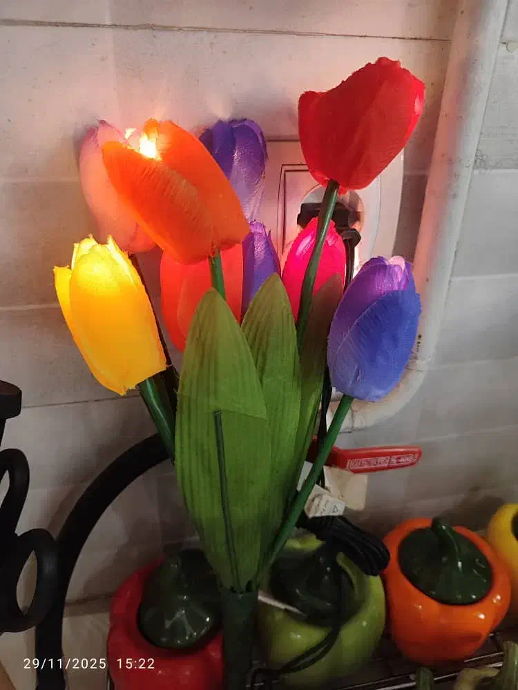 چراغ خواب گل لاله|چراغ خواب و آباژور|زاهدان, |دیوار