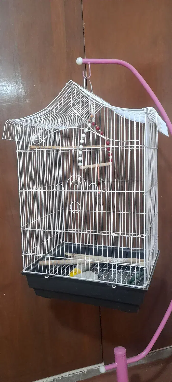 قفس پرنده|لوازم جانبی حیوانات|تهران, هفده شهریور|دیوار