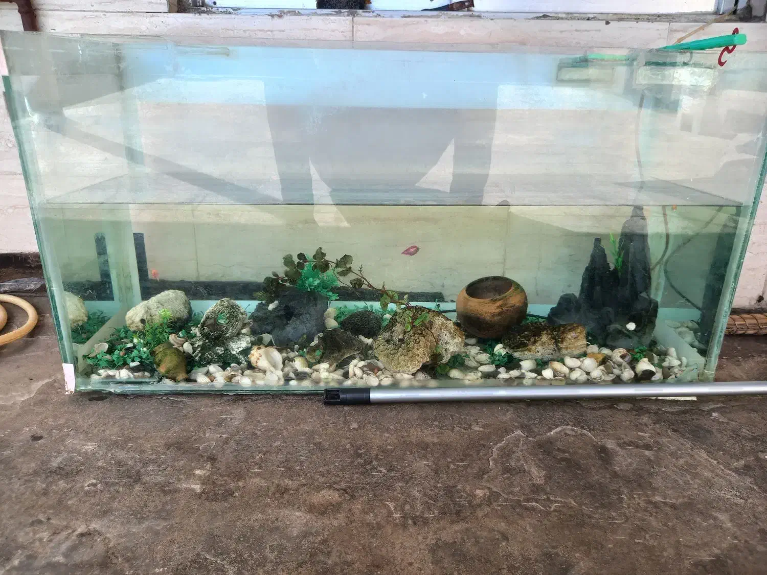 اکواریوم|ماهی|مشهد, کارگران|دیوار