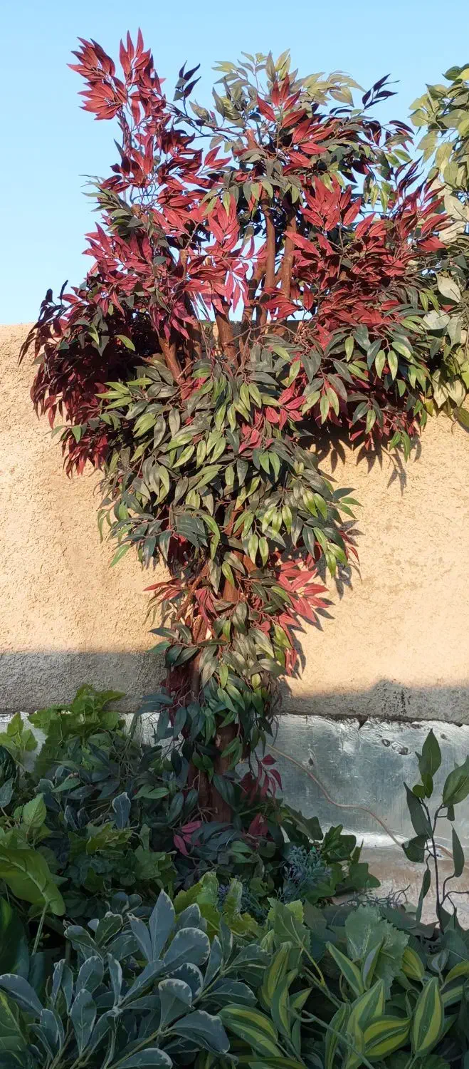 درختچه مصنوعی|گل مصنوعی|بهارستان, |دیوار