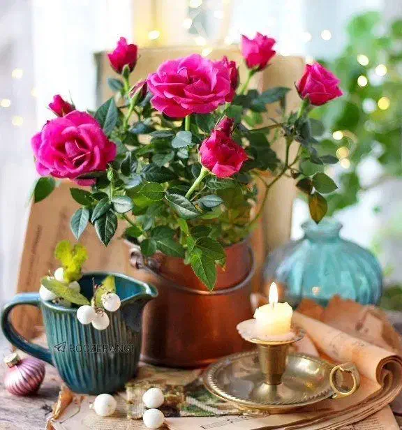 کود گوسفندی|خدمات باغبانی و درختکاری|سارال, |دیوار