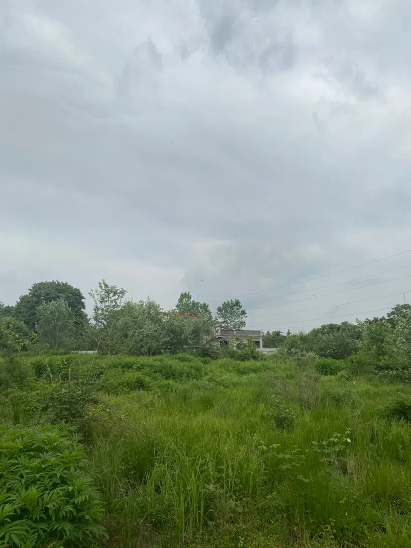 زمین ۵۰۳ مسکونی در لاکان شهر جنب مهندسین گیل|فروش زمین و ملک کلنگی|رشت, لاکان شهر|دیوار