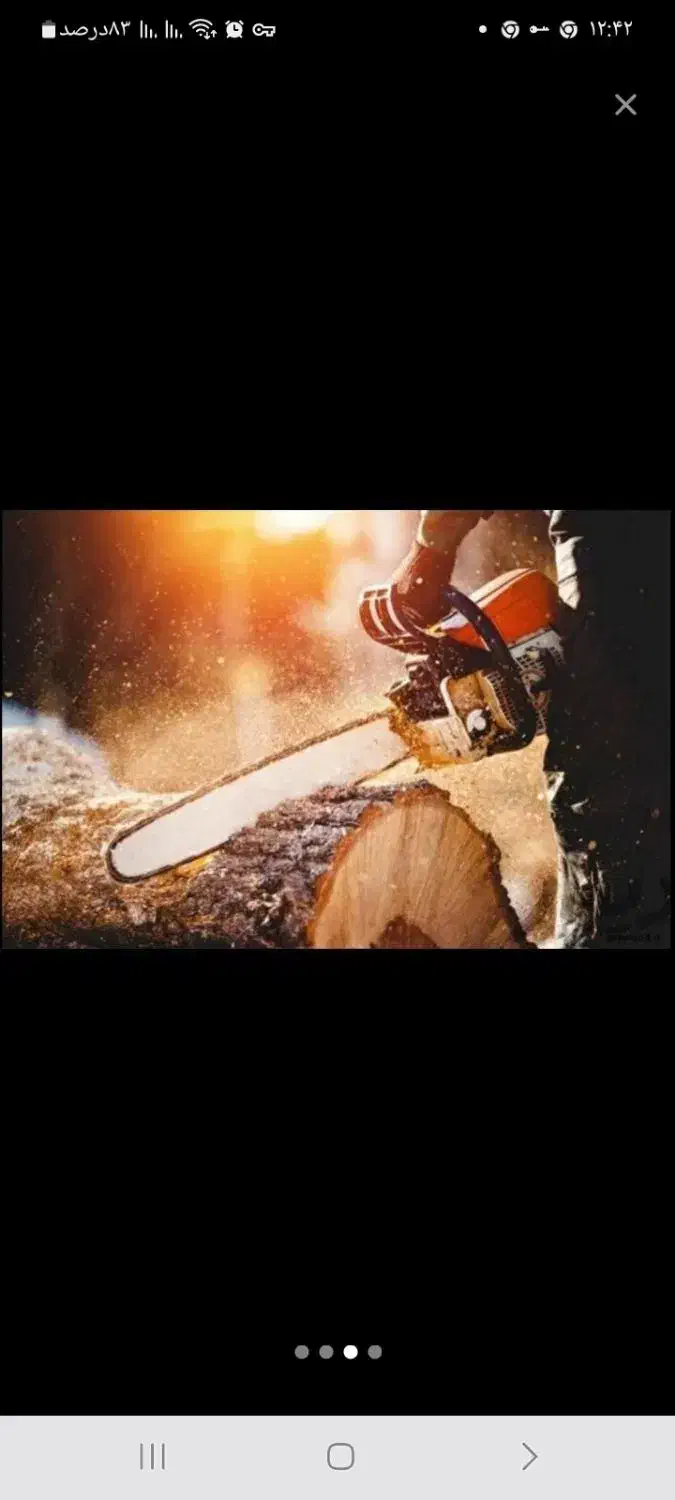 خرید چوب با قیمت بالا و نقد|خدمات باغبانی و درختکاری|آذرشهر, |دیوار