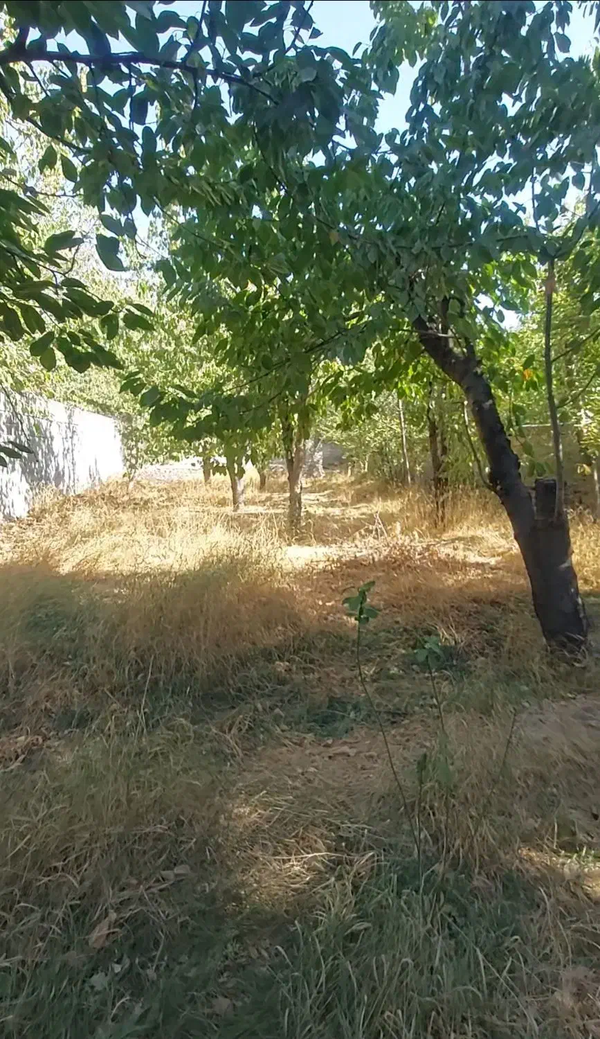 باغ فشند|فروش خانه و ویلا|هشتگرد, فشند|دیوار