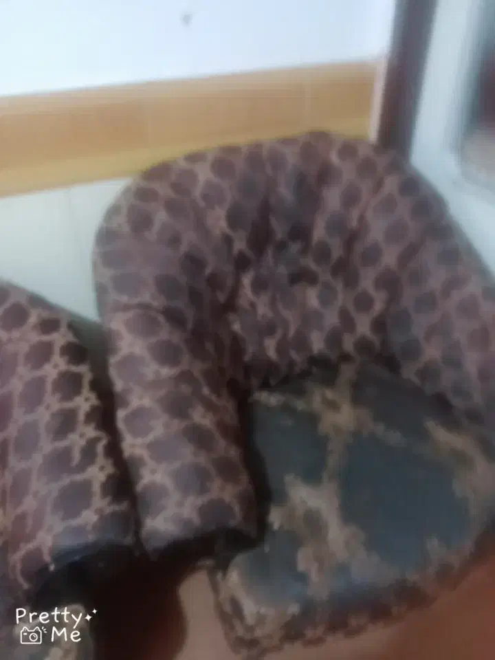 مبل|مبلمان خانگی و میز عسلی|قم, شاد قلی|دیوار