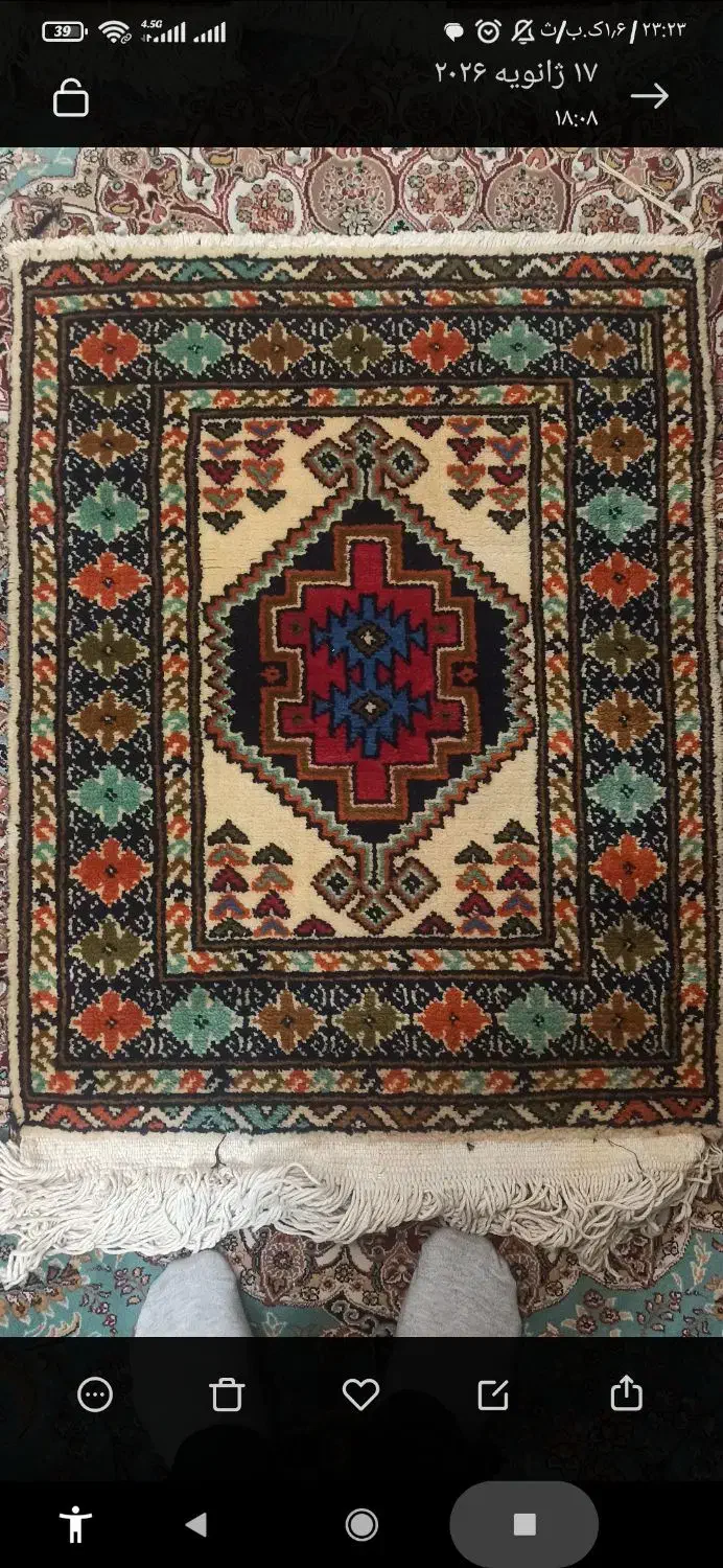 دوقالیچه دستبافت|فرش|پیشوا, |دیوار