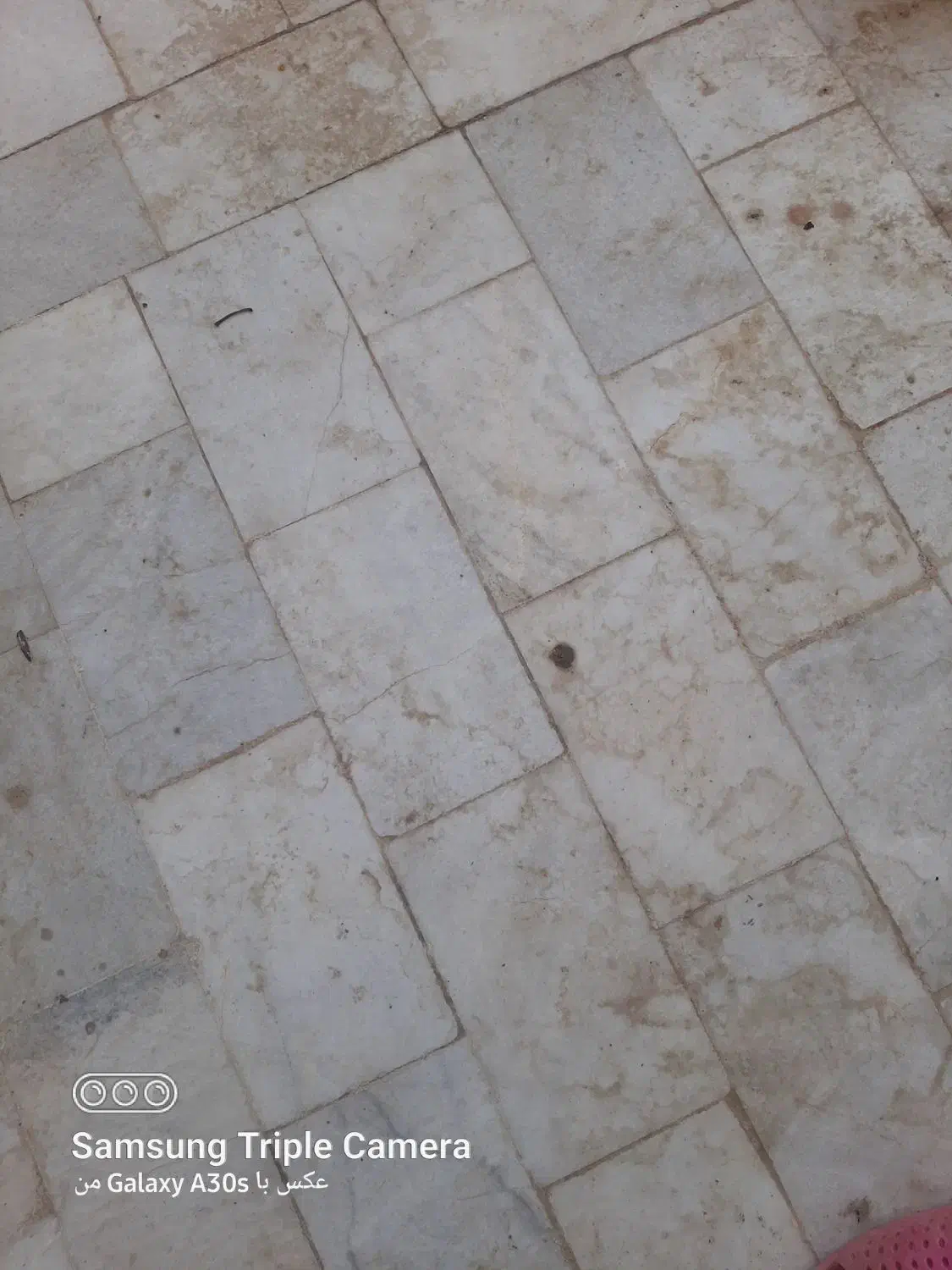 زمین مسکونی،دریمی|فروش زمین و ملک کلنگی|داراب, |دیوار