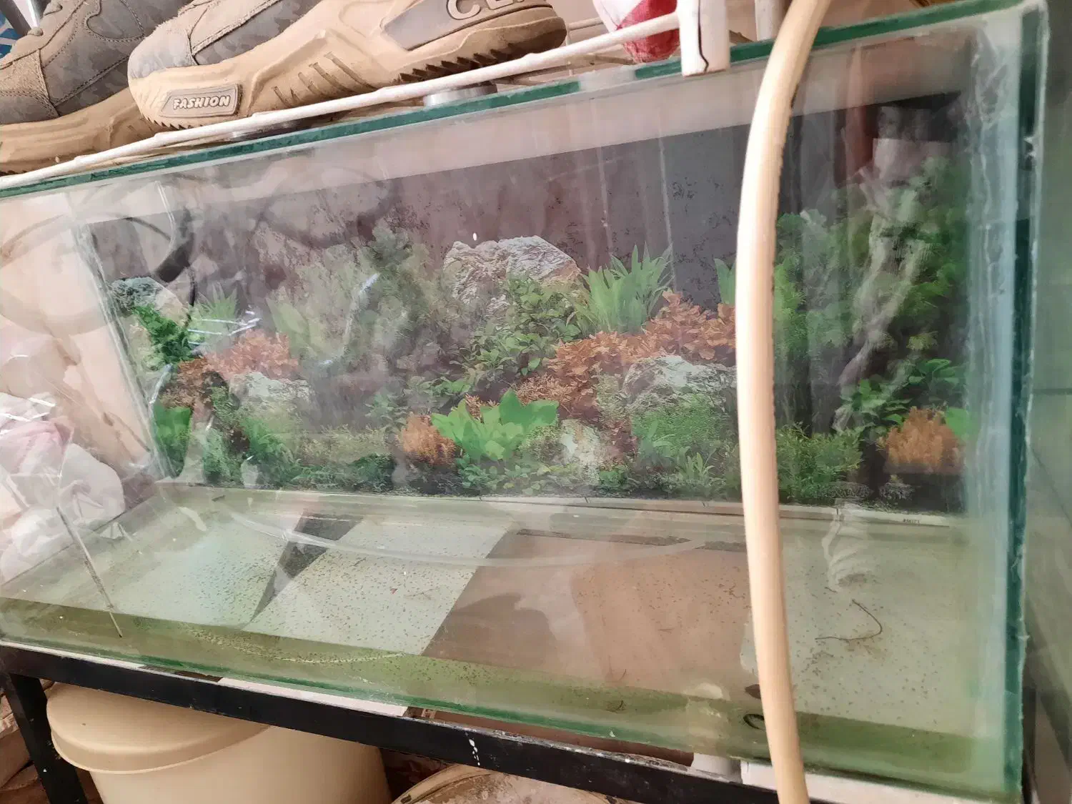 آکواریوم سالم و تمیز|لوازم جانبی حیوانات|کبودرآهنگ, |دیوار