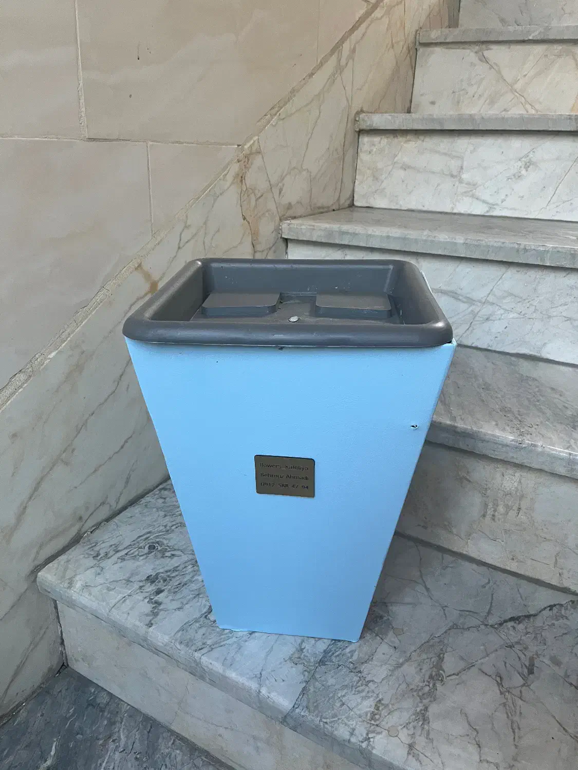 باکس گل|گل و گیاه طبیعی|تهران, شهرک ولیعصر جنوبی|دیوار