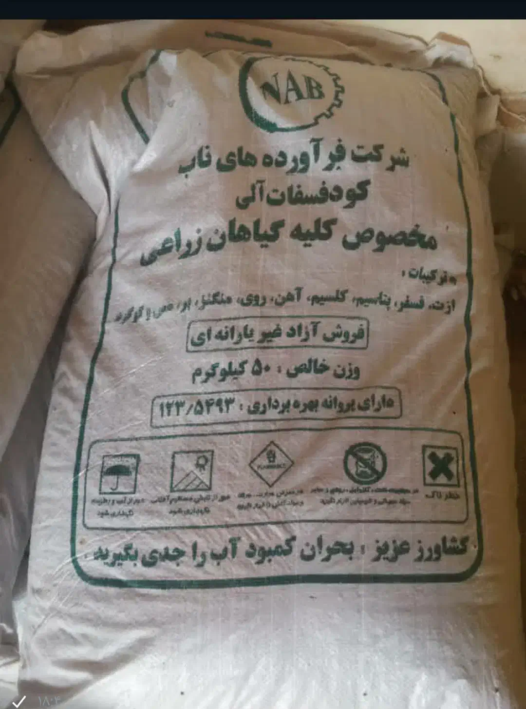 کودریشه ای چندین نوع|خدمات باغبانی و درختکاری|خرمآباد, |دیوار