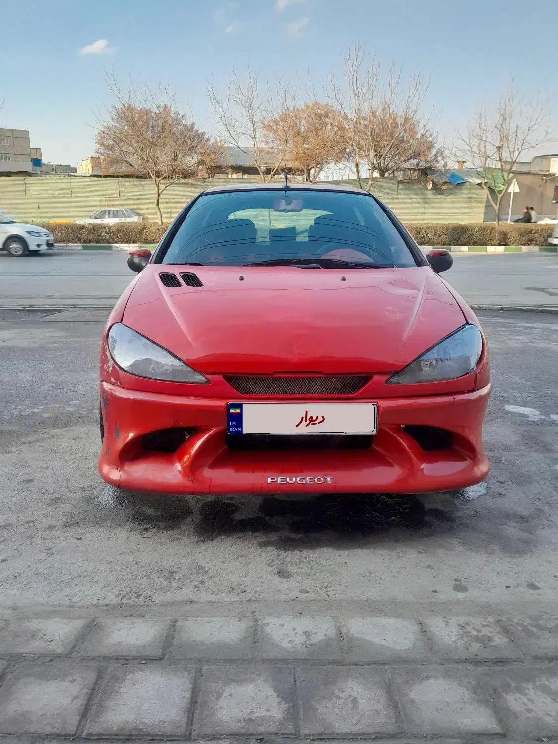 ۲۰۶|خودرو سواری و وانت|مشهد, شهید قربانی|دیوار