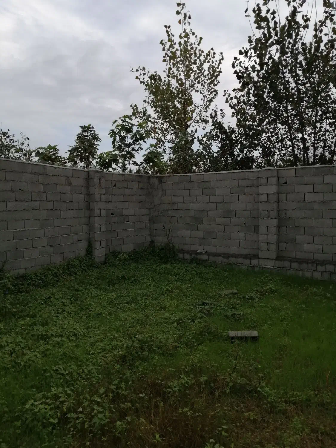 زمین داخل بافت روستای گل افرا بندر گز|فروش زمین و ملک کلنگی|بندر گز, |دیوار