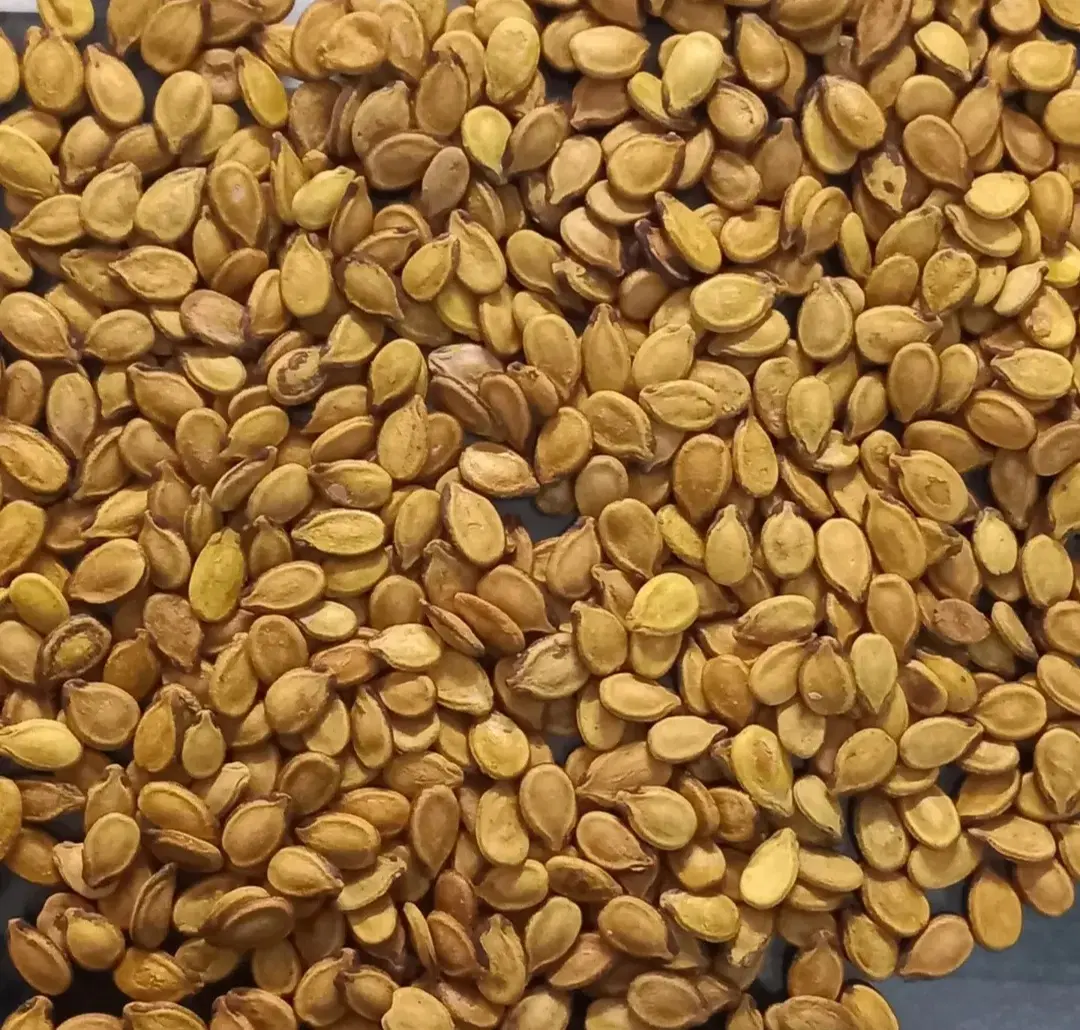 تخمه|خوردنی و آشامیدنی|تهران, هرندی|دیوار