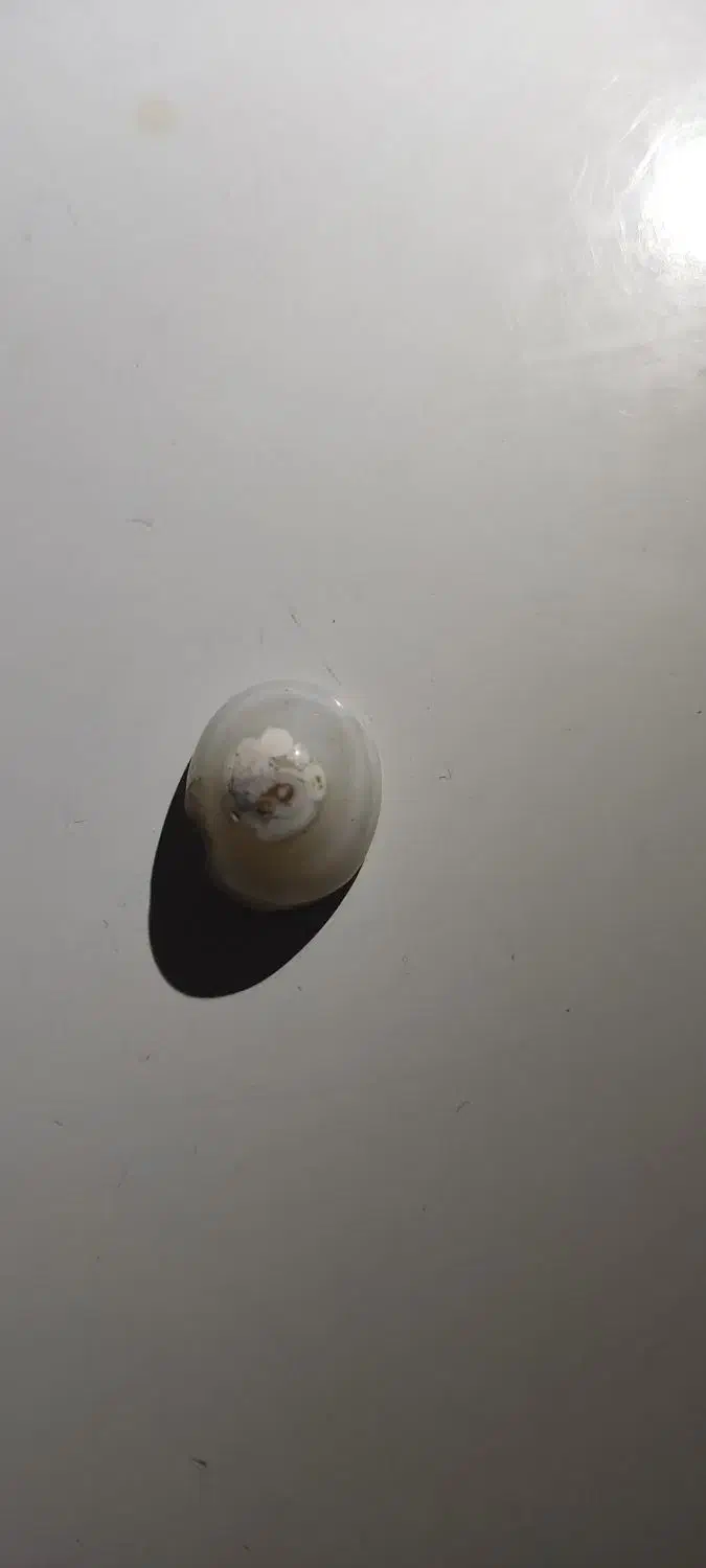 سنگ سلیمانی.سلطانی و عقیق|جواهرات|بندر ماهشهر, |دیوار