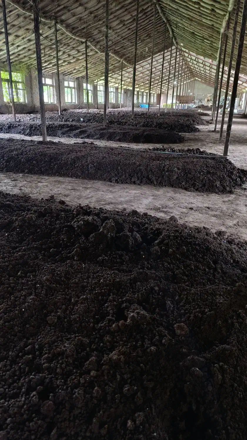 تولید کود ورمی کمپوست ، خاک و کرم آیزنیا|خدمات باغبانی و درختکاری|بابکان, |دیوار