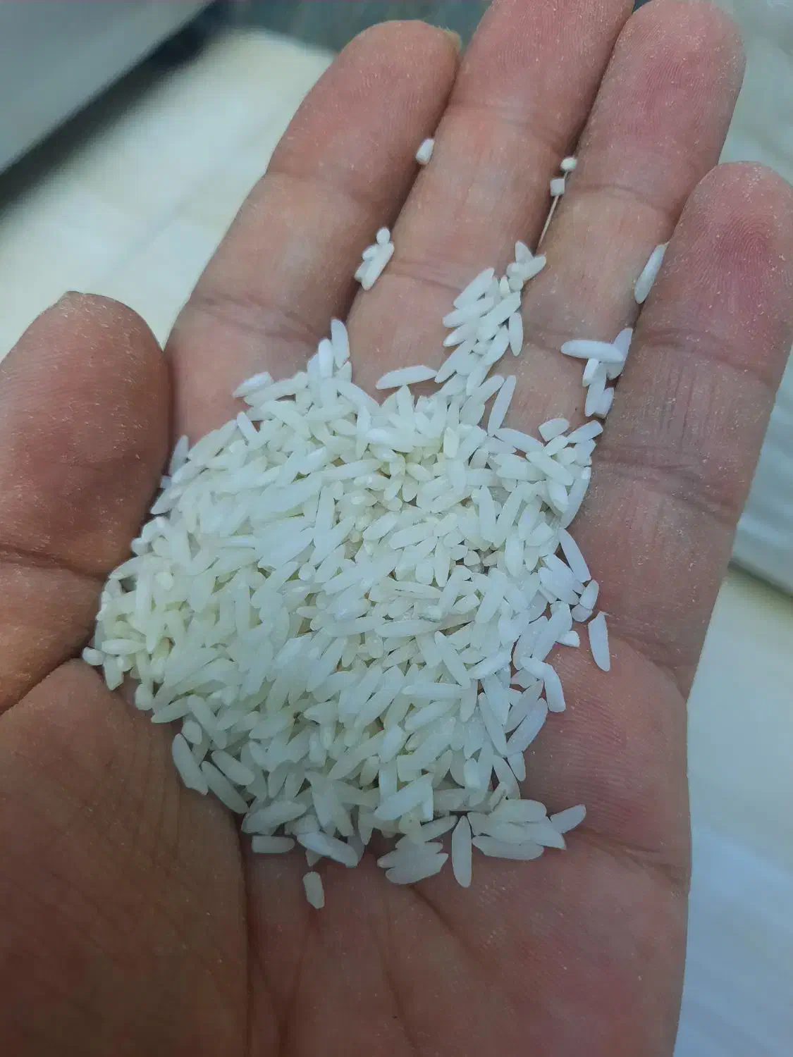 برنج هاشمی|خوردنی و آشامیدنی|رشت, حمیدیان|دیوار