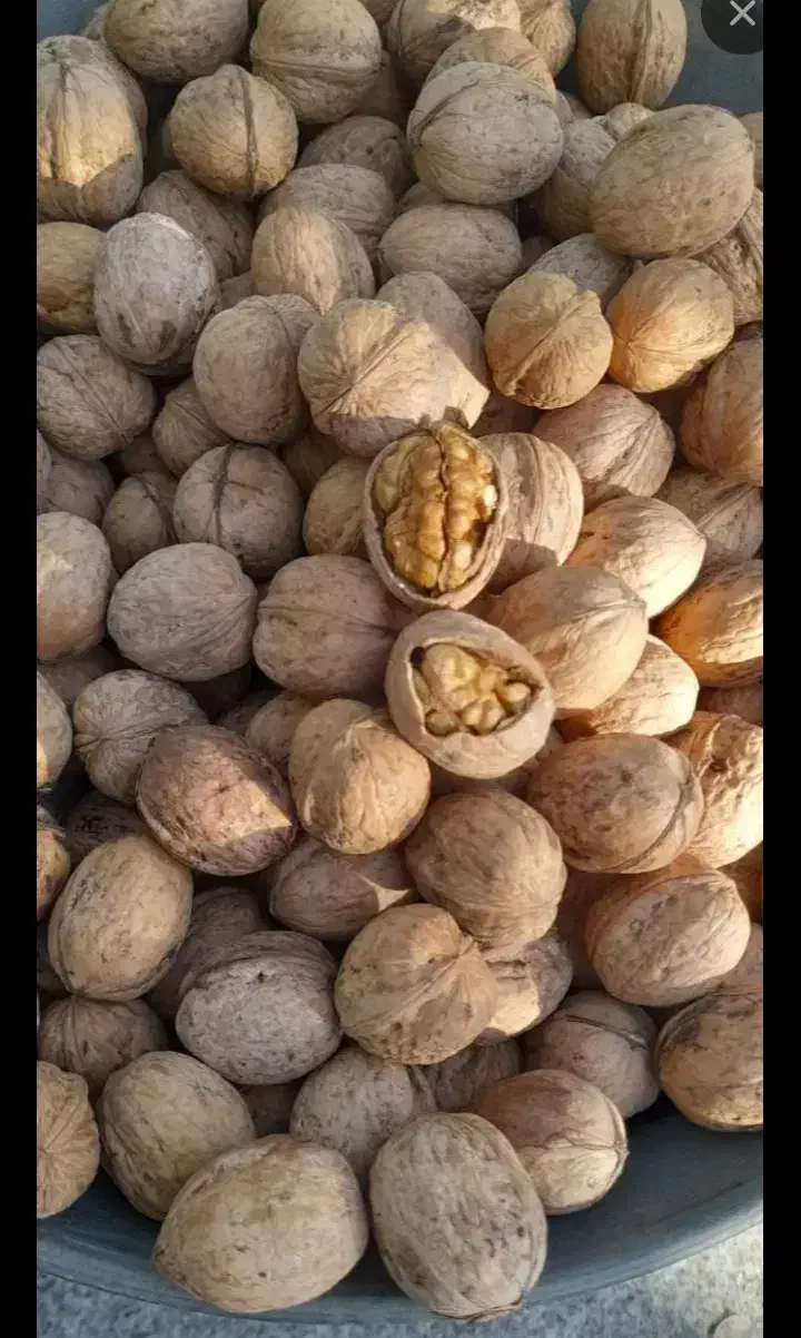 انبار خشکبار گردو بادام انجیر تخمه پسته کشمش و|خوردنی و آشامیدنی|اصفهان, رهنان|دیوار