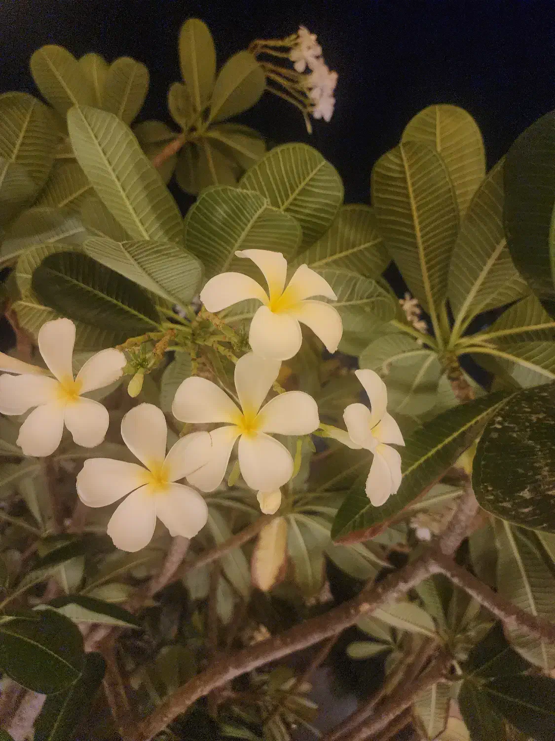 منشی مسلط به نرم افزار حسابداری|استخدام اداری و مدیریت|تهران, سلسبیل شمالی|دیوار