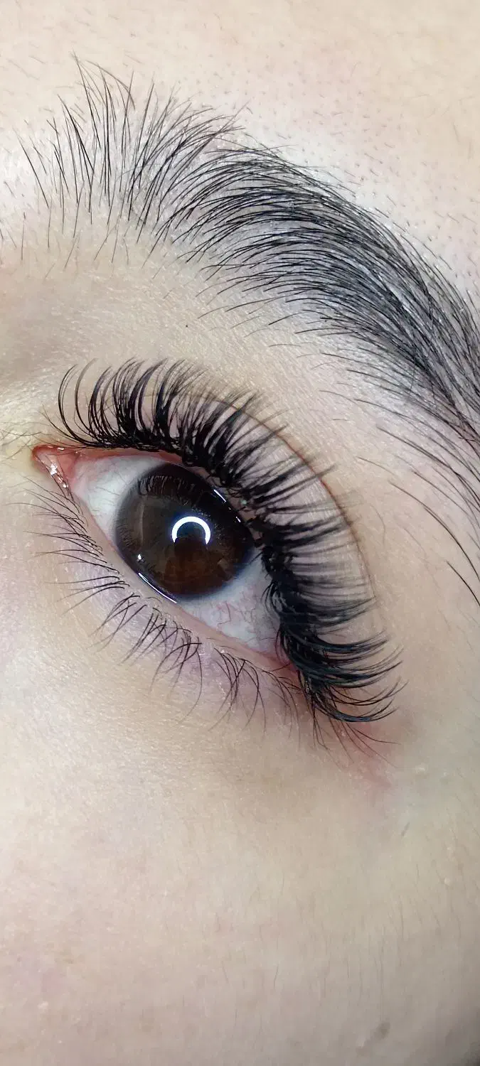 کاشت واکستنشن مژه|خدمات آرایشگری و زیبایی|مشهد, گلبرگ|دیوار