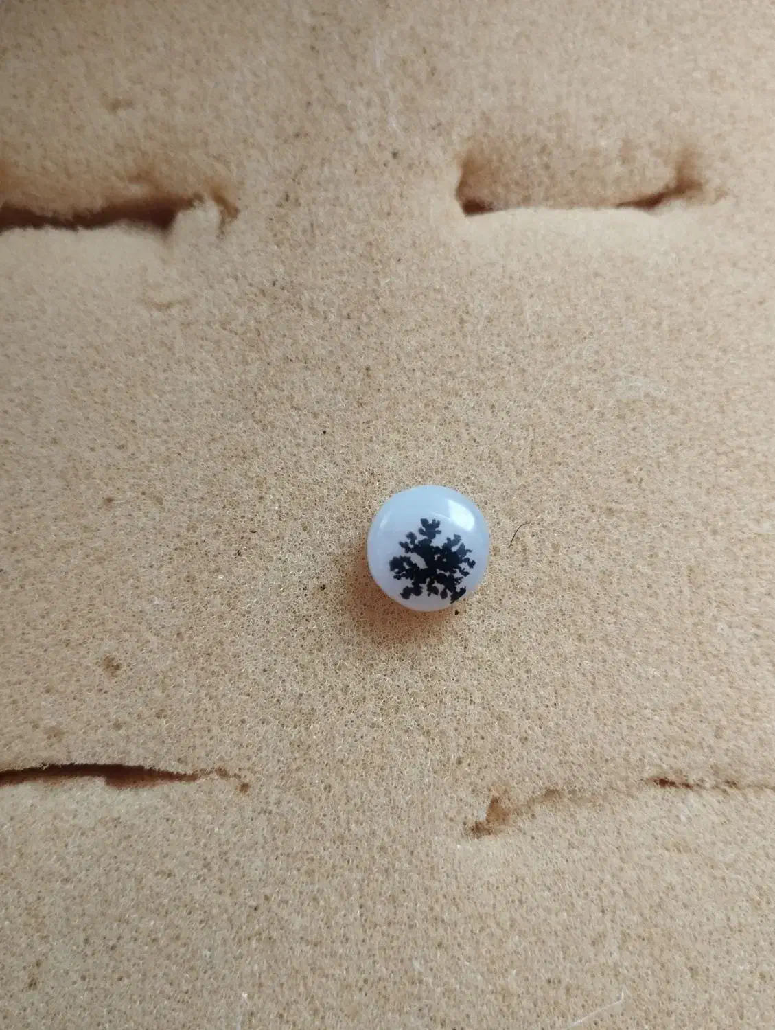 سنگ شجر|جواهرات|ورامین, ورامین|دیوار