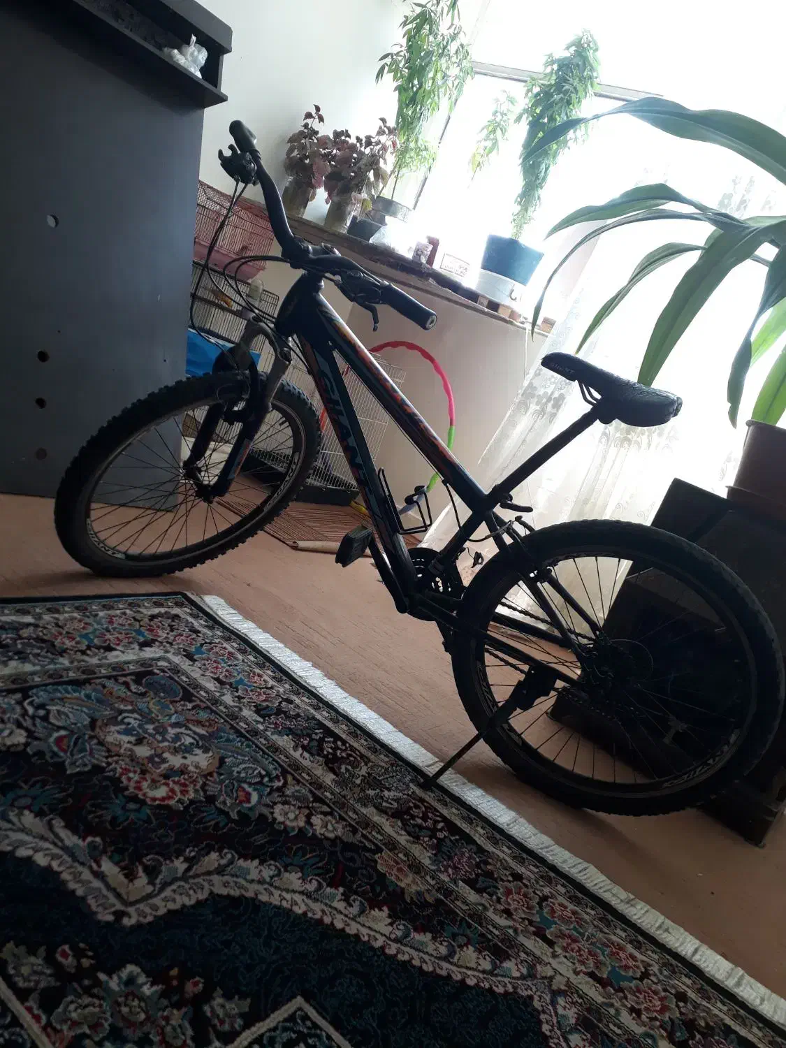 دوچرخه سایز ۲۶|دوچرخه، اسکیت، اسکوتر|فولادشهر, B7|دیوار