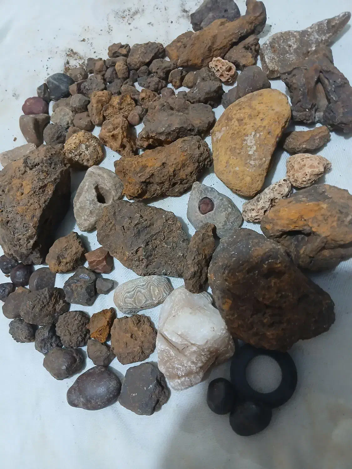 شهاب سنگ|کلکسیون اشیاء عتیقه|شیراز, گویم|دیوار