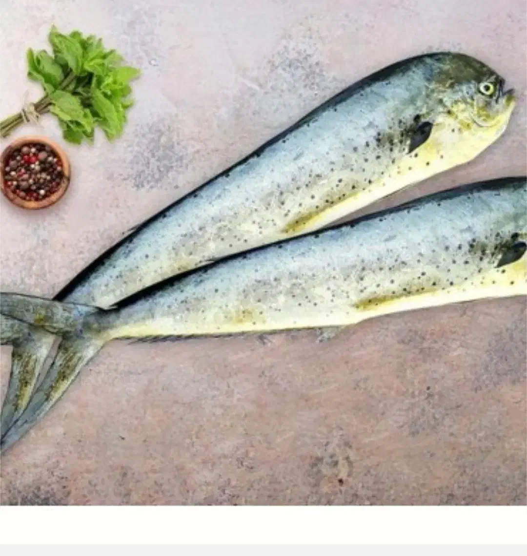 مرغ منجمد و ماهی جنوب تازه|خوردنی و آشامیدنی|نیشابور, کوی فرهنگیان|دیوار