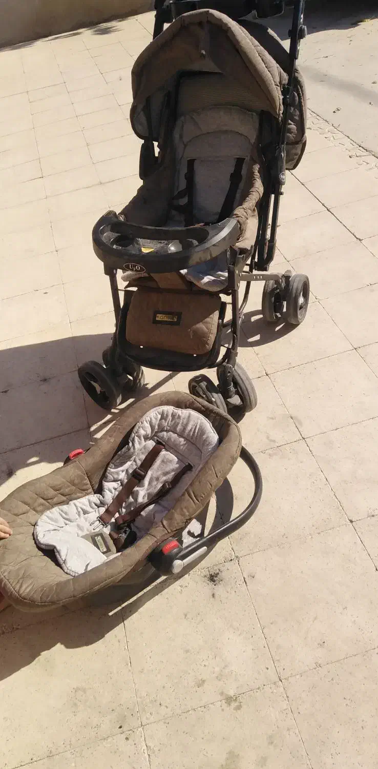 کالسکه دلیجان و کریر|کالسکه و لوازم جانبی|زرقان, |دیوار