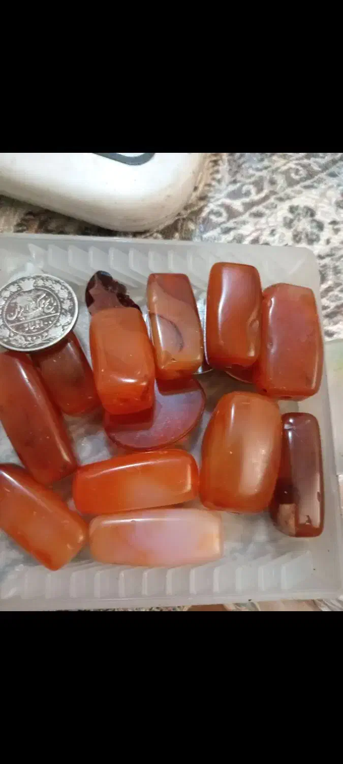 سگ عقیق|جواهرات|تهران, شوش|دیوار