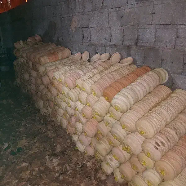 سفال سبزه|ظروف پخت‌وپز|شیراز, میرزاکوچک خان|دیوار