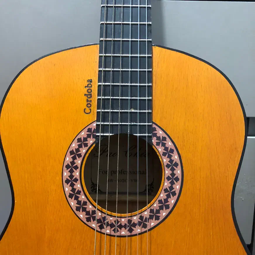 گیتار|گیتار، بیس، امپلیفایر|رباط‌کریم, نصیرشهر|دیوار