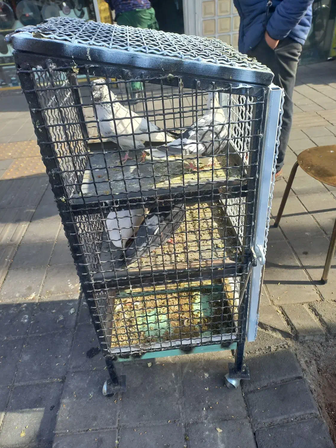 جفت کن|لوازم جانبی حیوانات|تهران, طیب|دیوار