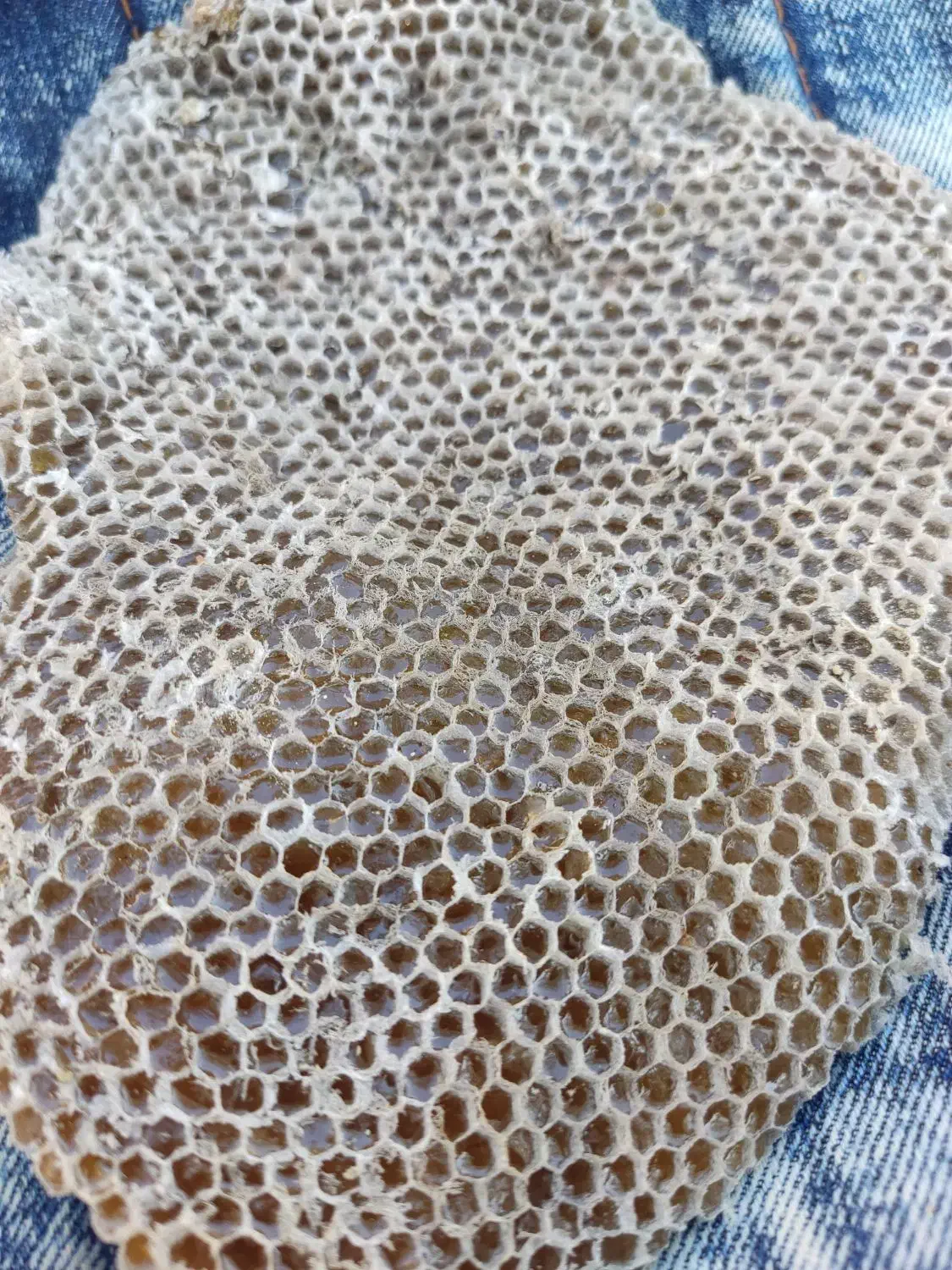 فروش عسل صدرد صد طبیعی.|خوردنی و آشامیدنی|دهلران, |دیوار