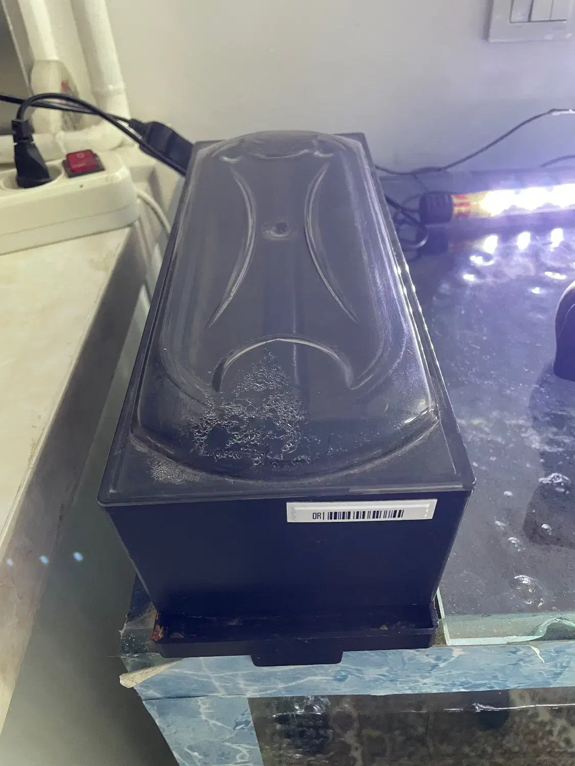 آکواریم فروشی|ماهی|هشتگرد, شهرک ولیعصر (مصلی)|دیوار