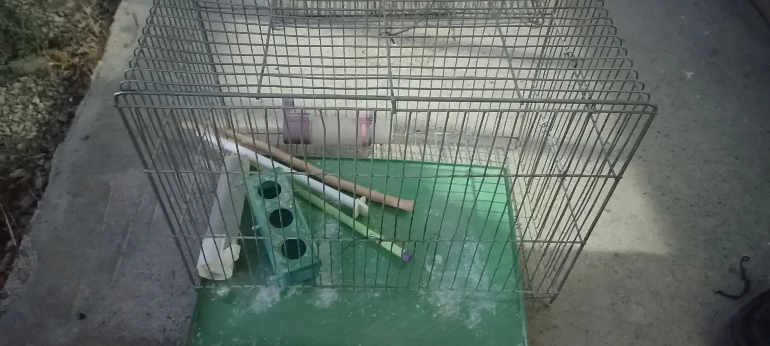 قفس پرنده قناری ومرغ عشق|لوازم جانبی حیوانات|بروجن, |دیوار