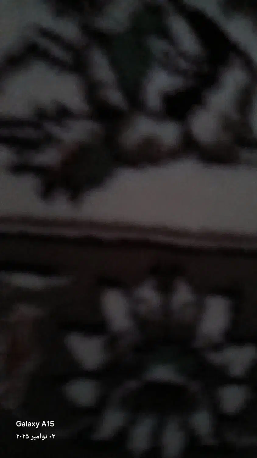 سیمانکاری وکاشیکاری|خدمات پیشه و مهارت|تربت جام, کشتارگاه|دیوار