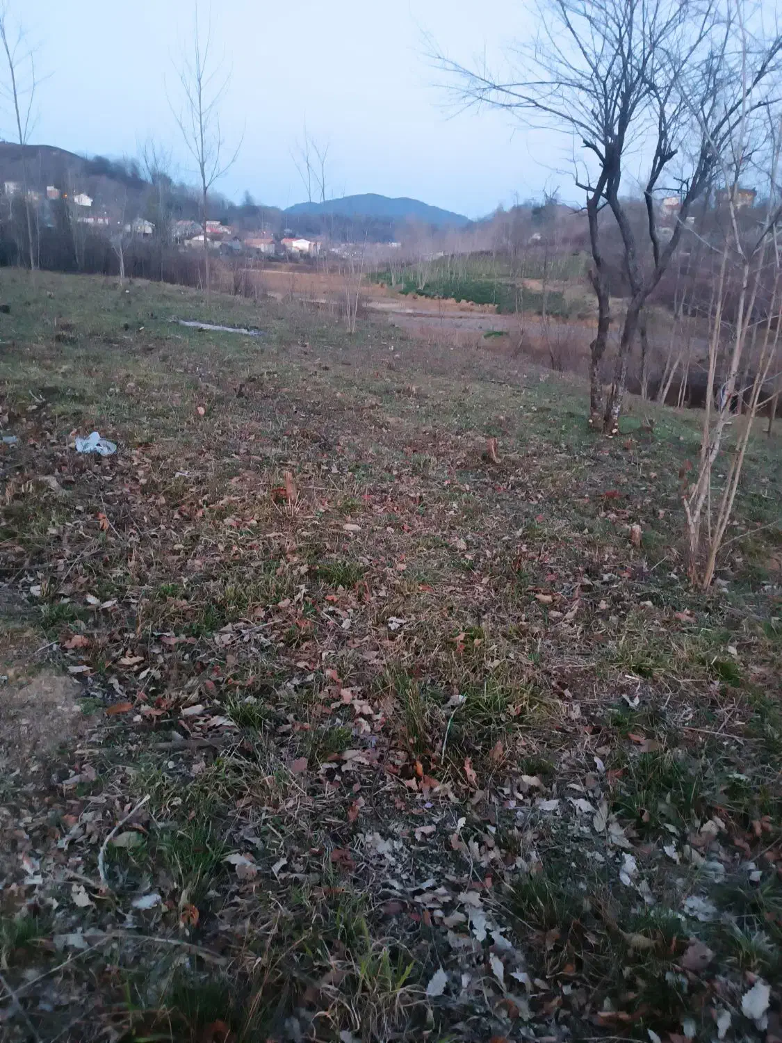 زمین ۴۰۰ متری بنگبر لاهیجان|فروش زمین و ملک کلنگی|لاهیجان, لیل|دیوار