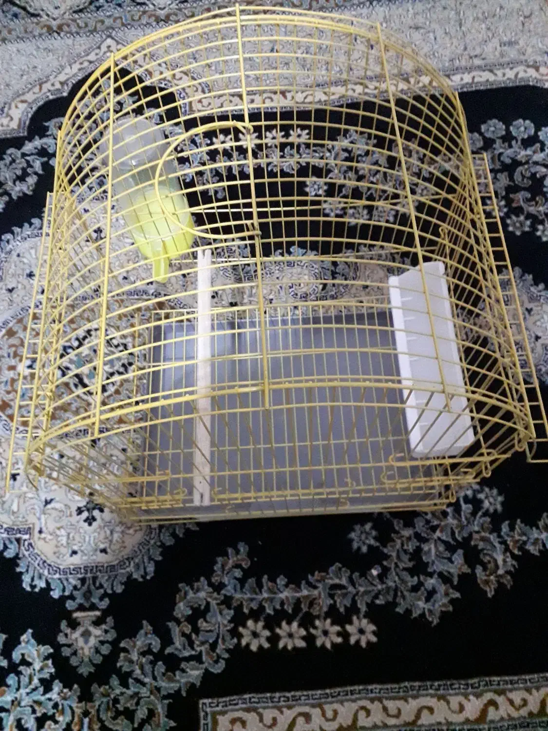 قفس پرنده|لوازم جانبی حیوانات|سنندج, |دیوار