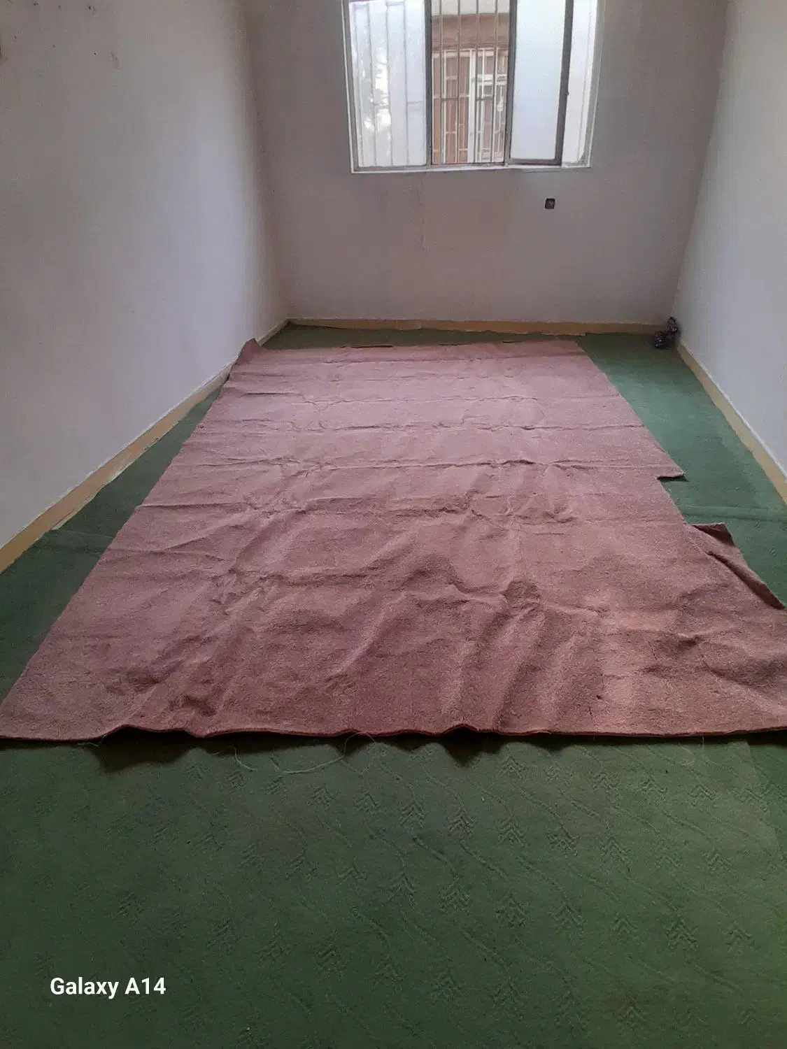 موکت|موکت|اهواز, شهرک دانشگاه|دیوار