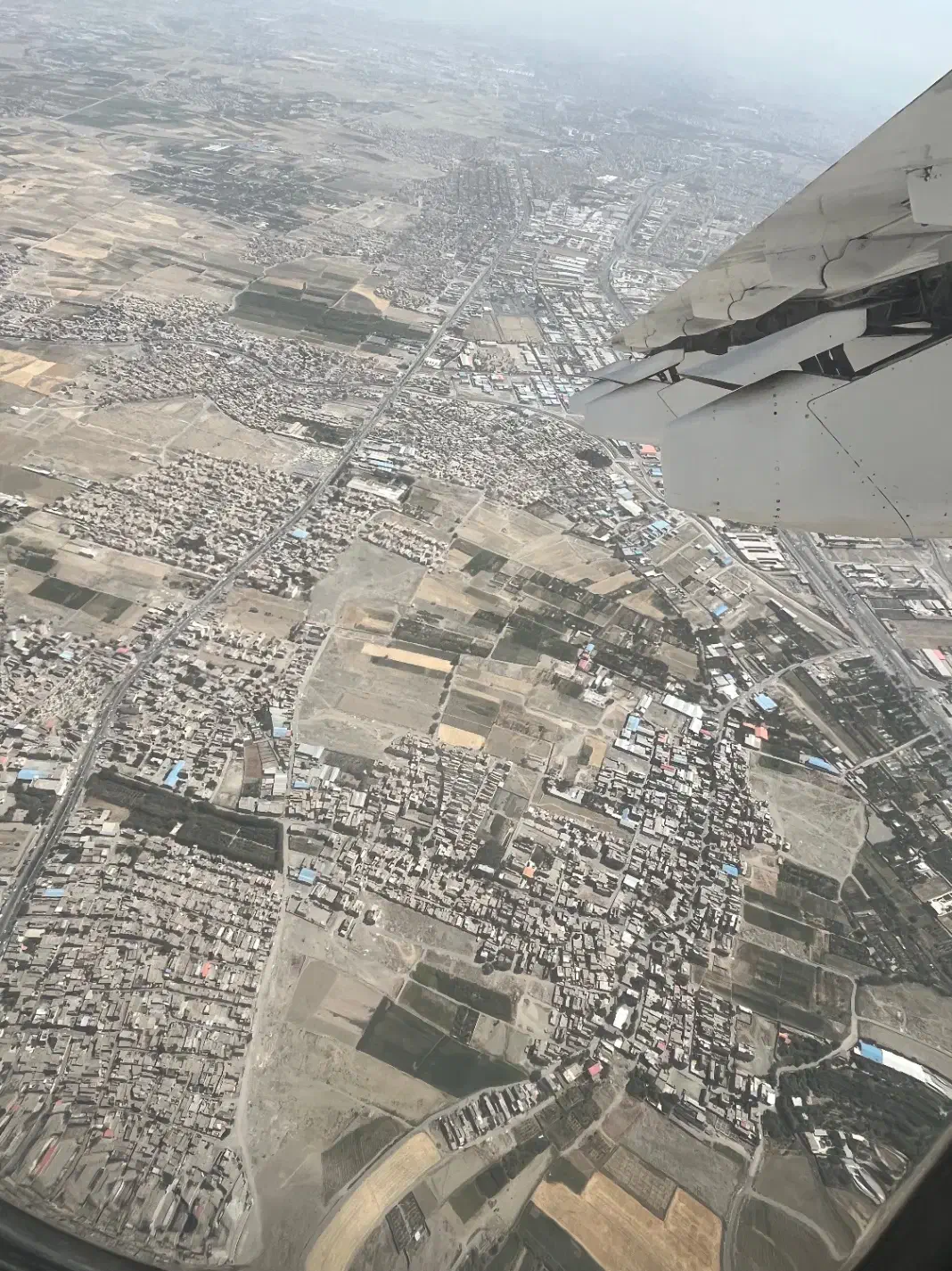 دو کارگر برای باغ پسته|خدمات باغبانی و درختکاری|سیستان, |دیوار