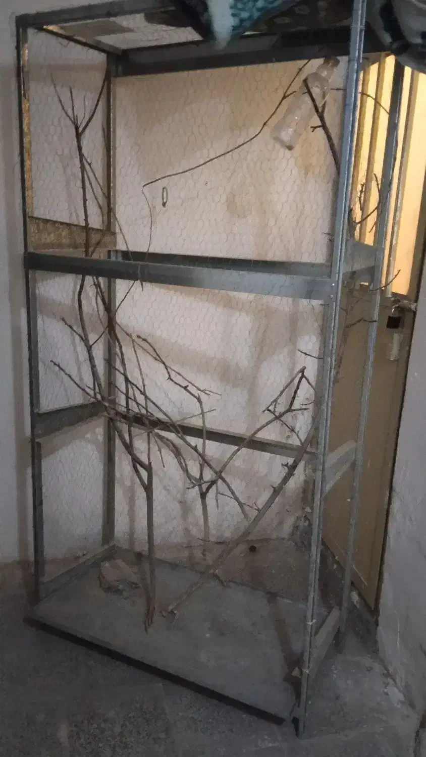 123|پرنده|تربت‌حیدریه, شهرک ولیعصر|دیوار