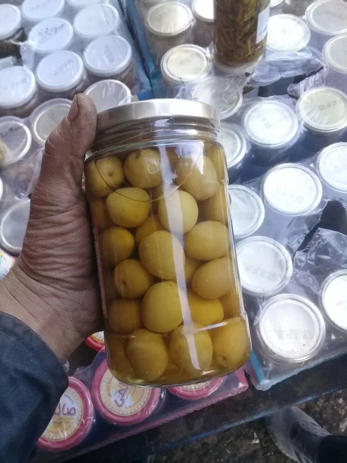 زیتون درشت و سوپر|حراج|سبزوار, پاسداران|دیوار