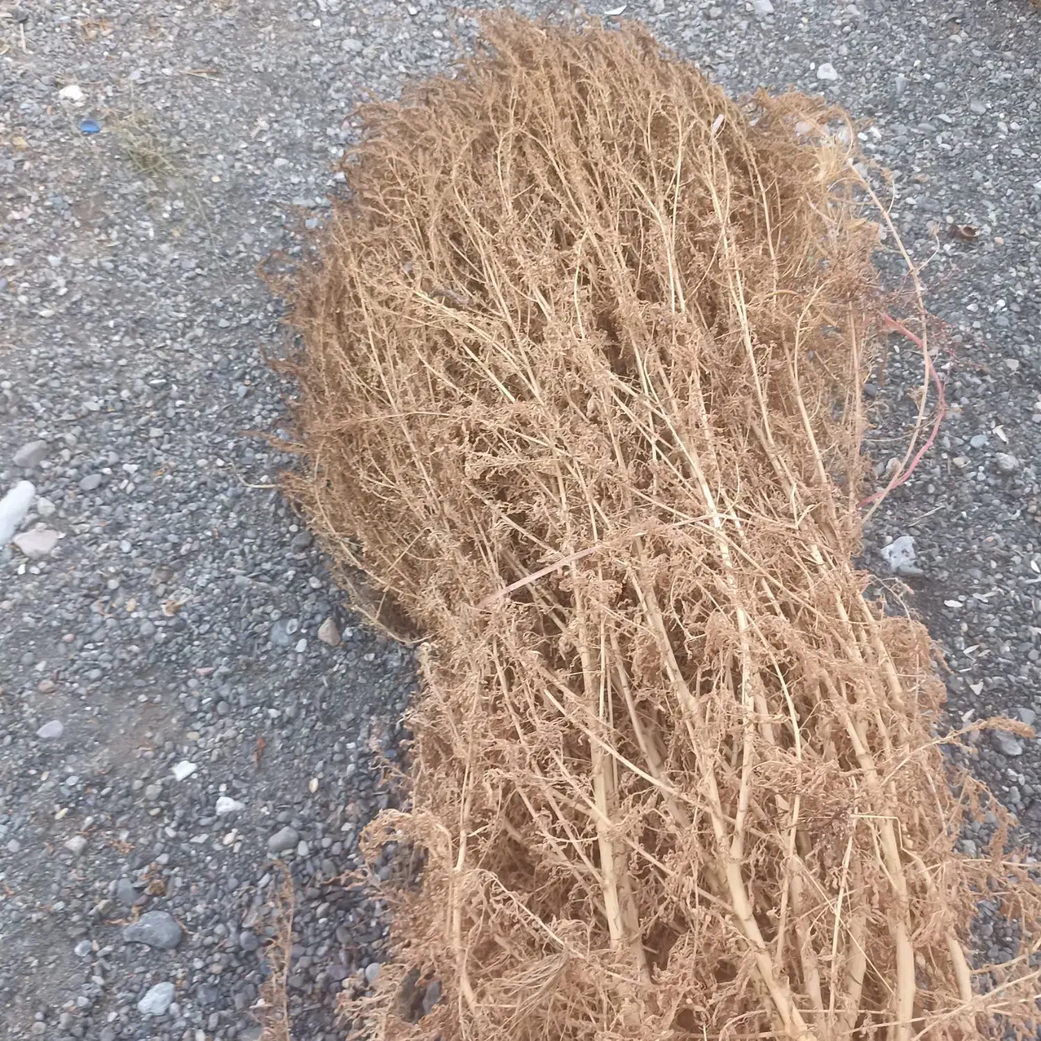 جارو دستی|لوازم نظافت|فیرورق, |دیوار