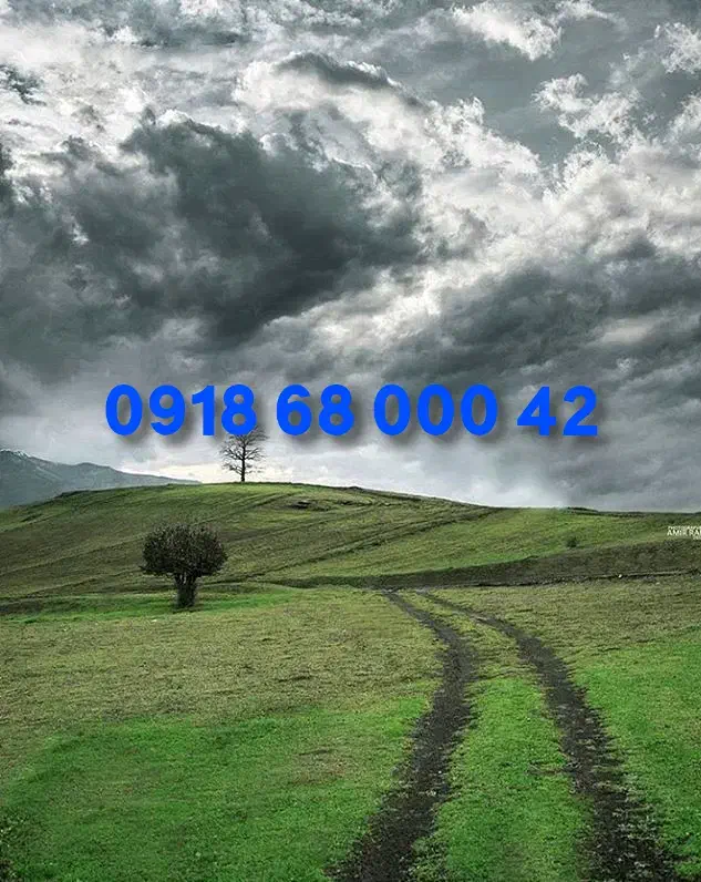 09186800040|سیم‌کارت|سنندج, |دیوار