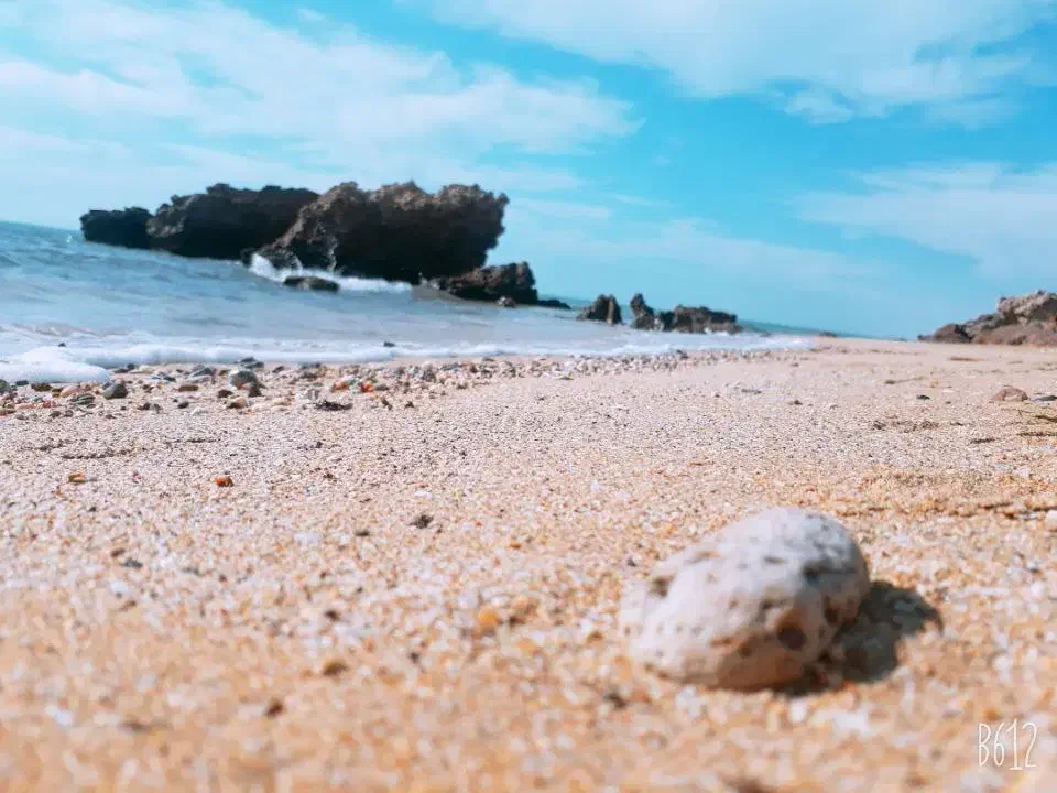 گشت قشم|تور و چارتر|قشم, |دیوار