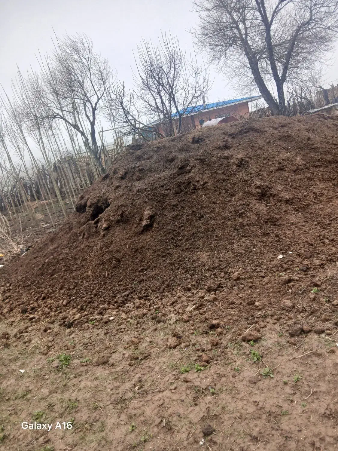 کود|لوازم جانبی حیوانات|امام, |دیوار