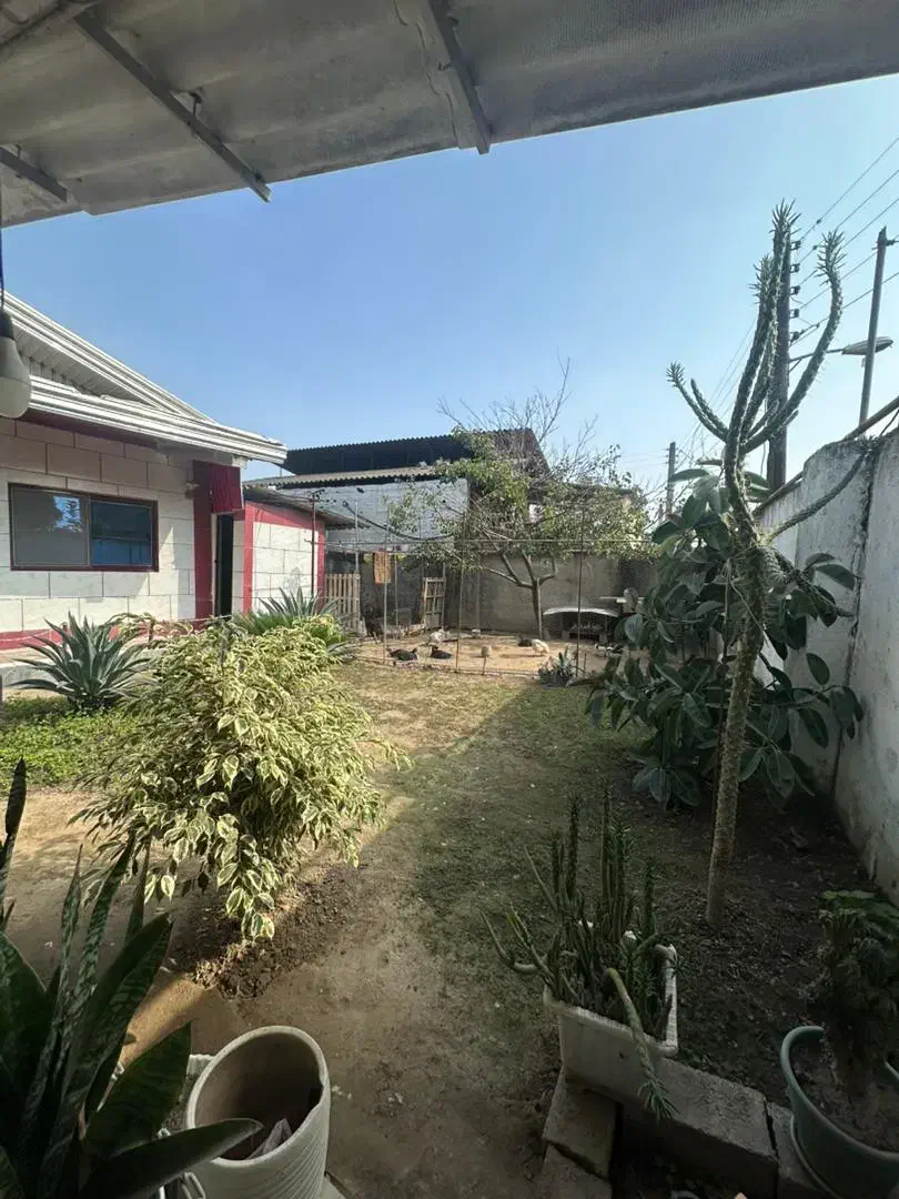 ویلا باغ ۳۸۰ متری بافت جاده بابل|فروش خانه و ویلا|زرگرشهر, |دیوار