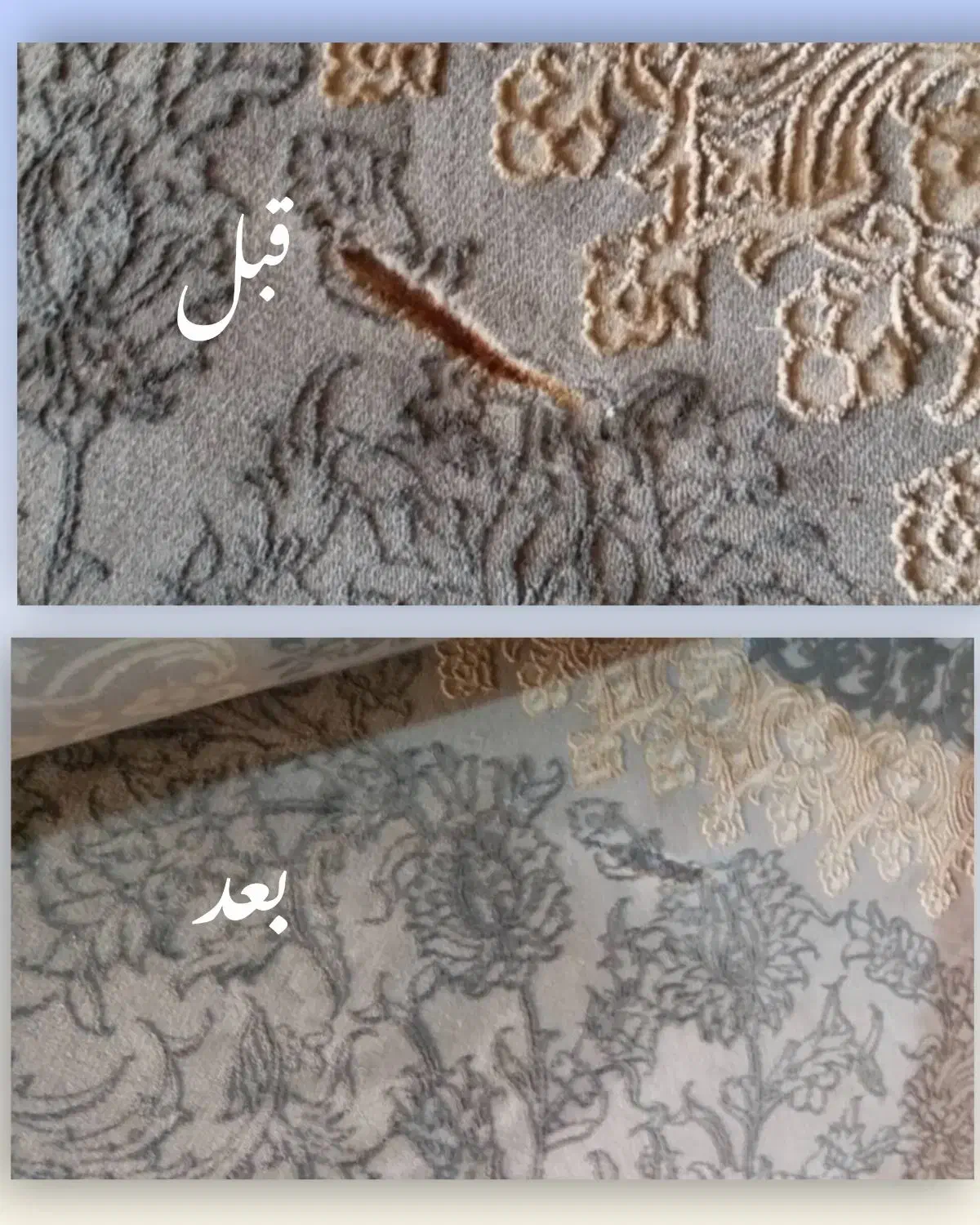 فرش|فرش|ایرانشهر, |دیوار