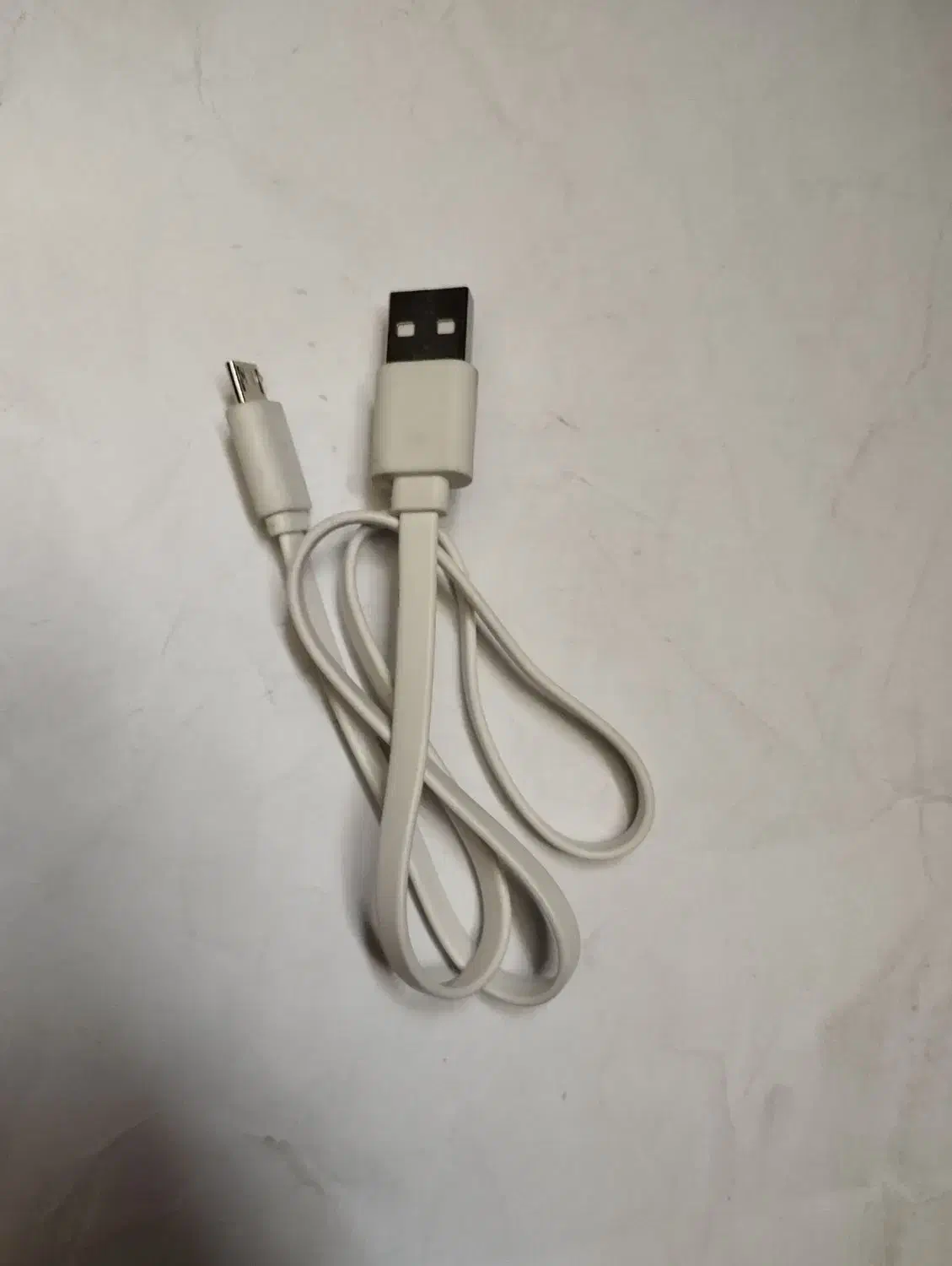 پاد|زیورآلات و اکسسوری|شیراز, بعثت|دیوار